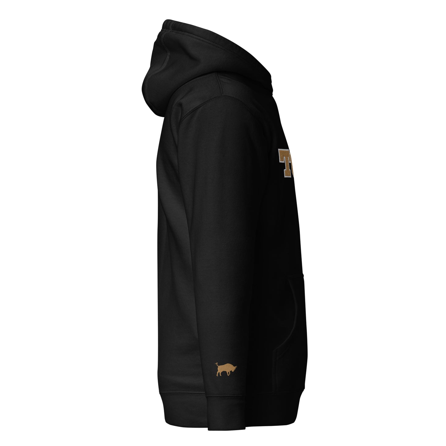 Varsity Hoodie