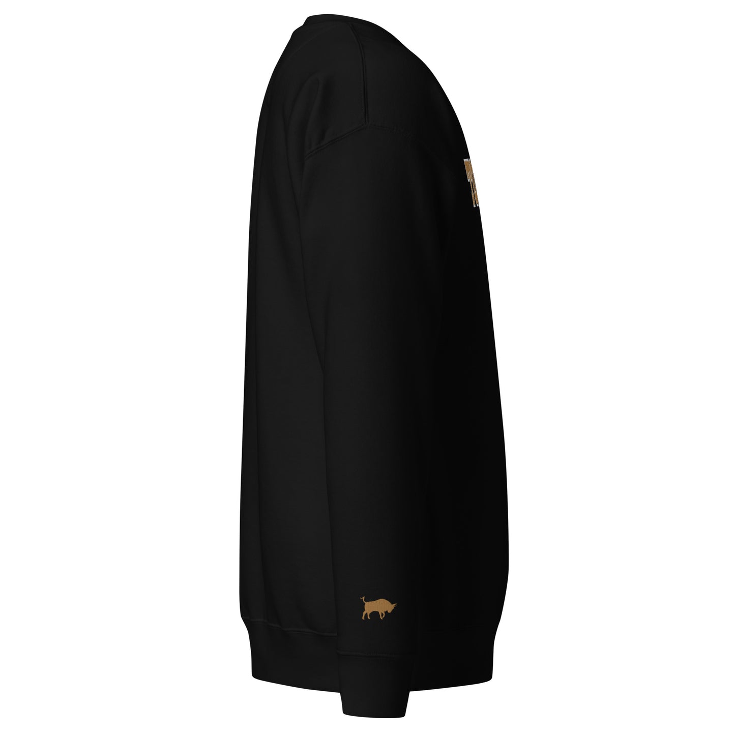 Varsity Sweatshirt