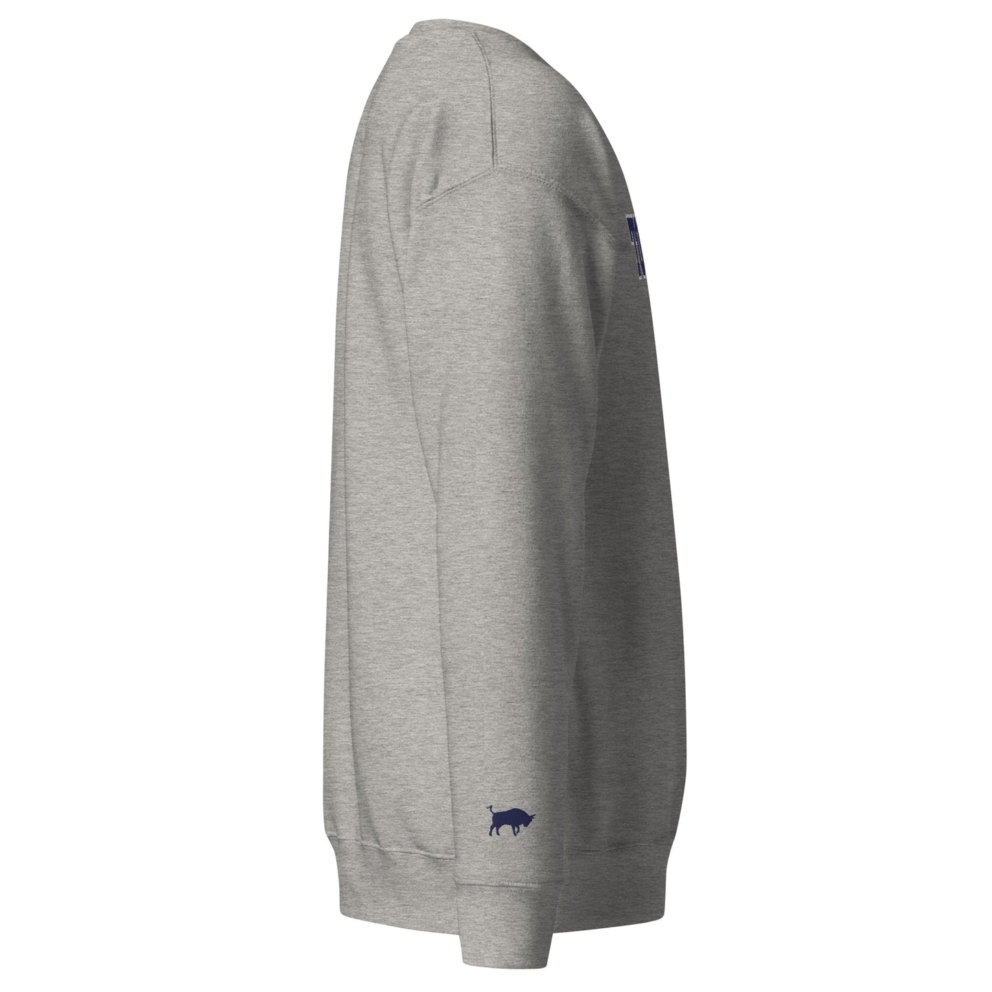 Varsity Sweatshirt